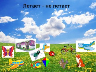 Мультимедийная презентация для детей 3-4 лет Летает-не летает презентация к уроку по развитию речи (младшая группа)