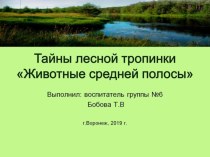 Тайны лесной тропинки Звери презентация к уроку по окружающему миру (подготовительная группа)