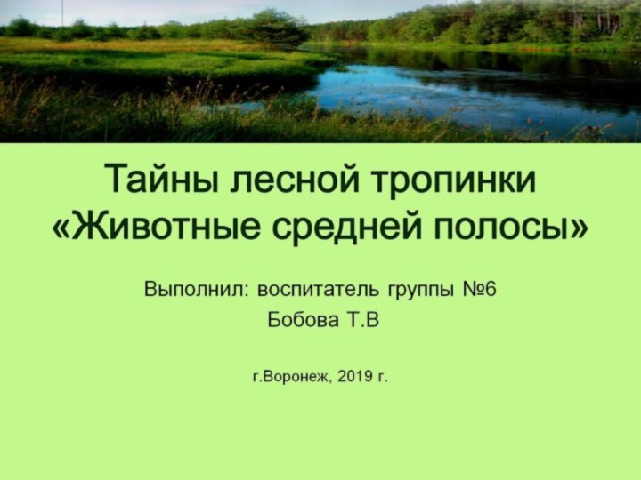 Тайны лесной тропинки «Животные средней полосы»