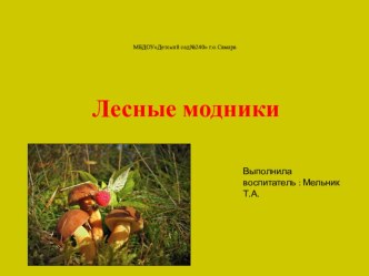 Презентация средняя группа  По грибы презентация к уроку по окружающему миру (средняя группа)