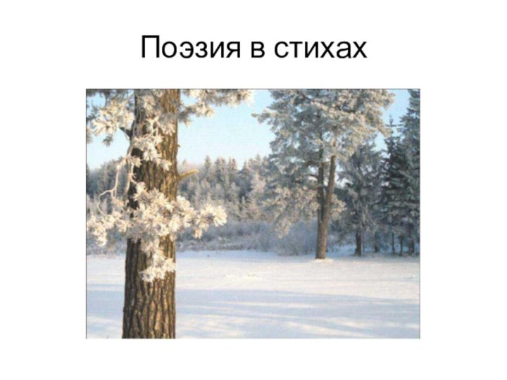 Поэзия в стихах