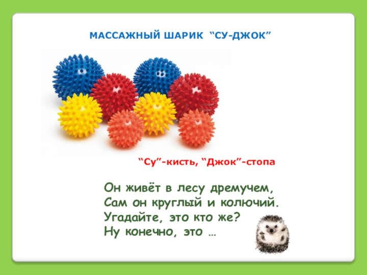 Он живёт в лесу дремучем,Сам он круглый и колючий.Угадайте, это кто же?Ну