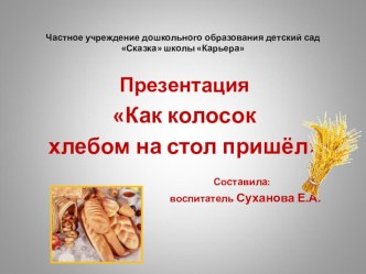 Как колосок хлебом на стол пришёл презентация к уроку по окружающему миру (подготовительная группа)