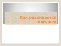 Презентация Развитие лягушки презентация к уроку по окружающему миру (старшая группа)