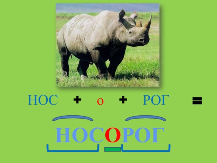 НОС  +  о  +  РОГ=НОСОРОГ