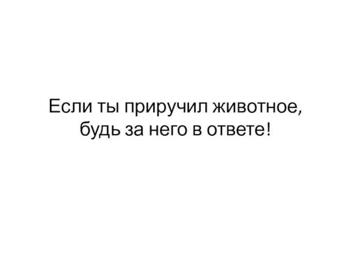 Если ты приручил животное,  будь за него в ответе!