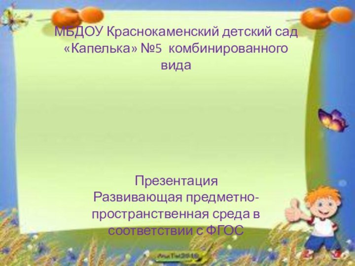 МБДОУ Краснокаменский детский сад «Капелька» №5 комбинированного вида