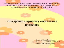 Внедрение в практику социальных проектов презентация по теме