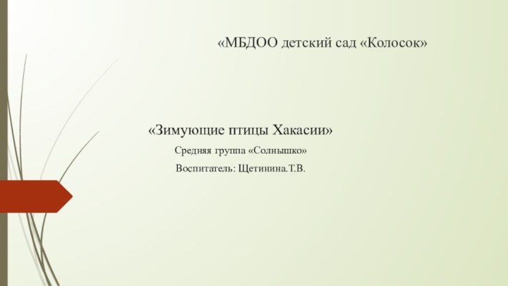 «МБДОО детский сад «Колосок» «Зимующие птицы Хакасии»Средняя группа «Солнышко»Воспитатель: Щетинина.Т.В.