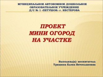 Проект Мини огород на участке проект по окружающему миру (подготовительная группа)