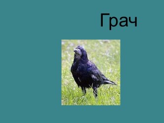 Внеклассное мероприятие Птицы весной классный час по окружающему миру по теме