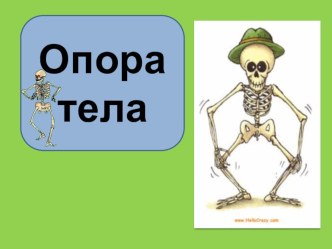 Урок - презентация презентация к уроку по окружающему миру (3 класс) по теме