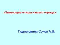 зимующие птицы нашего города презентация младший возраст презентация к уроку по окружающему миру (младшая группа)