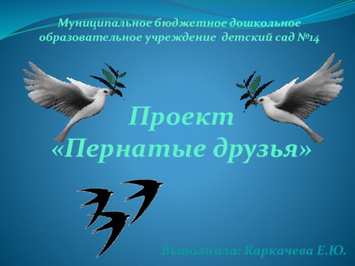   Проект «Пернатые друзья» Муниципальное бюджетное дошкольное образовательное учреждение детский сад №14Выполнила: Каркачева Е.Ю.