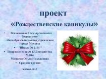 Рождественские каникулы проект (старшая группа)