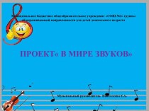 Проект В мире звуков презентация