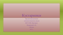 Презентация Кустарники для уроков окружающего мира презентация урока для интерактивной доски по окружающему миру (2 класс)