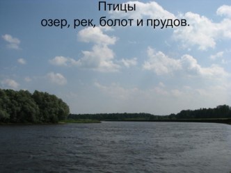 Птицы водоемов презентация к уроку по окружающему миру по теме