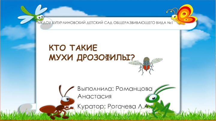 Кто такие  мухи дрозофилы?Мкдоу бутурлиновский детский сад общеразвивающего вида №1Выполнила: Романцова АнастасияКуратор: Рогачева Л.А.