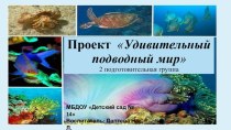 Проект Удивительный подводный мир 2 подготовительная группа презентация к уроку по окружающему миру (подготовительная группа)