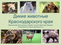 Дикие животные Кубани презентация к уроку по окружающему миру по теме