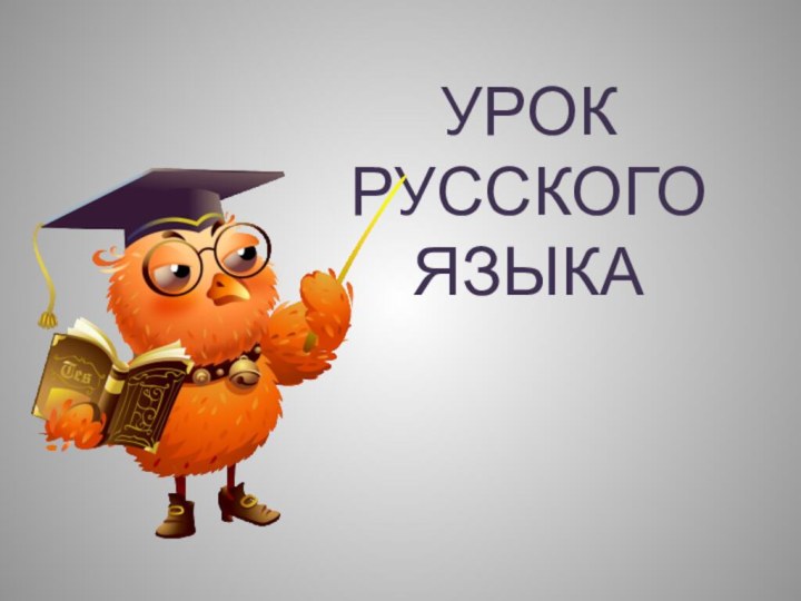 УРОК РУССКОГО ЯЗЫКА