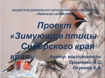 Проект Зимующие птицы Сибирского края презентация к уроку по окружающему миру (средняя группа)