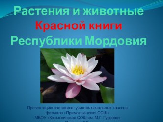 Презентация к уроку окружающего мира Сокровища Земли под охраной человечества. Красная книга презентация к уроку по окружающему миру (4 класс)