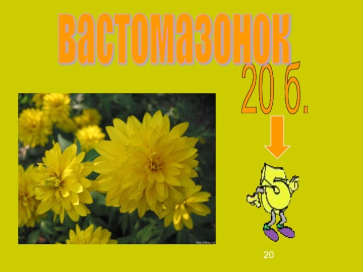 20 б.вастомазонок