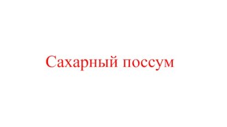 Внеклассное занятие Сахарный поссум план-конспект занятия (1, 2, 3, 4 класс)