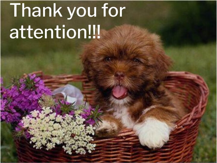 Thank you for attention!!!