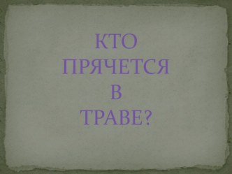 Презентация - игра презентация к уроку по окружающему миру (средняя группа)