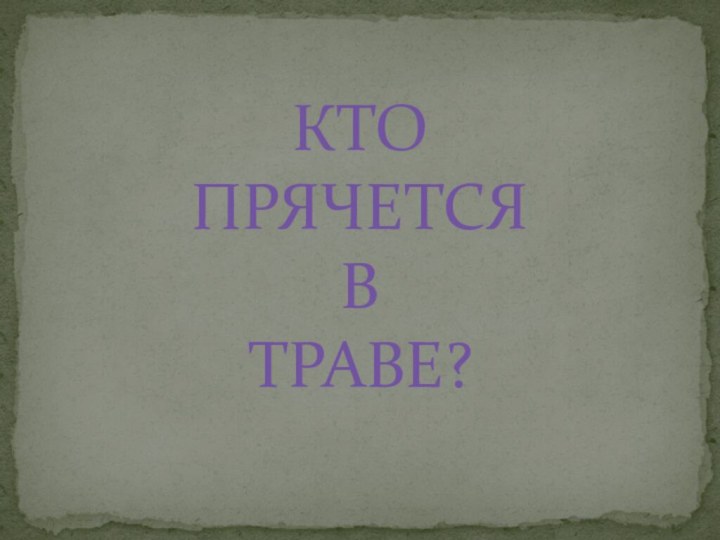 КТО ПРЯЧЕТСЯ В ТРАВЕ?