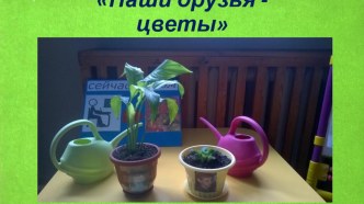 Презентация Цветы - наши друзья. презентация к уроку по окружающему миру (старшая группа)