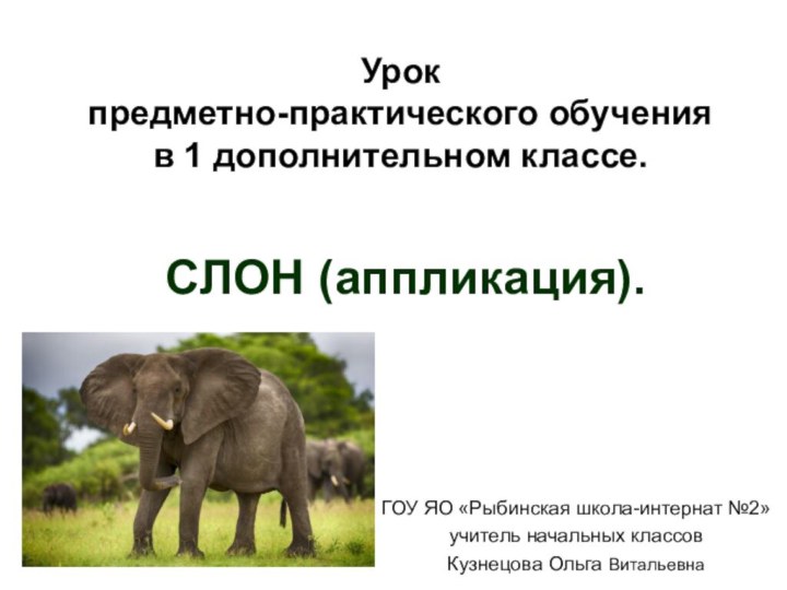 СЛОН (аппликация).ГОУ ЯО «Рыбинская школа-интернат №2»учитель начальных классов Кузнецова Ольга ВитальевнаУрок предметно-практического