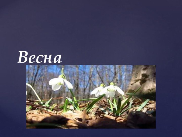 Весна