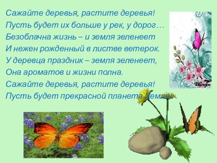 Сажайте деревья, растите деревья!Пусть будет их больше у рек, у дорог…Безоблачна жизнь