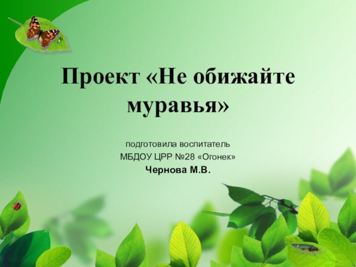 Проект «Не обижайте муравья» подготовила воспитательМБДОУ ЦРР №28 «Огонек» Чернова М.В.