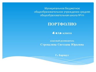 ПОРТФОЛИО КЛАССА презентация к уроку (4 класс) по теме