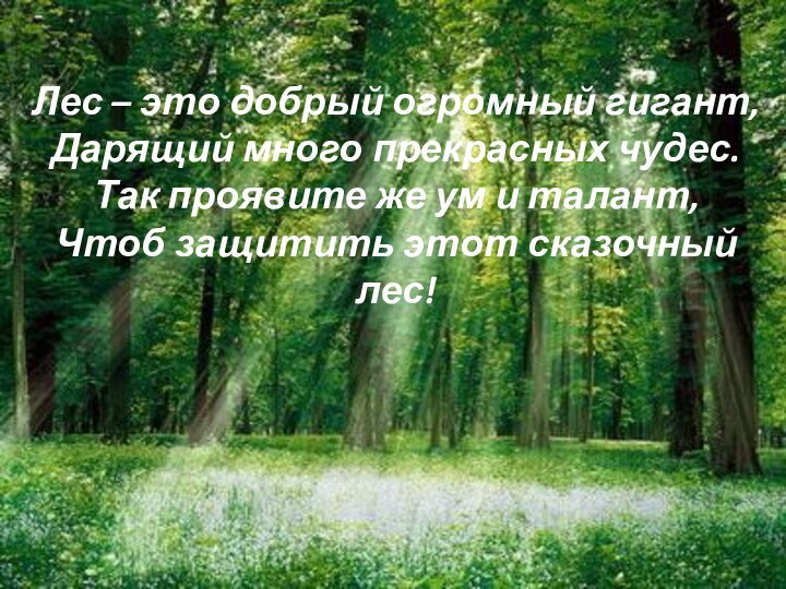 Лес – это добрый огромный гигант, Дарящий много прекрасных чудес. Так проявите