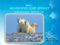 Проект Животные Арктики презентация к уроку по окружающему миру (старшая группа)