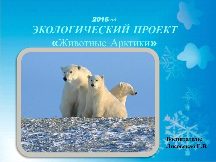 2016годЭКОЛОГИЧЕСКИЙ ПРОЕКТ«Животные Арктики»Воспитатель:Лисовская Е.В.