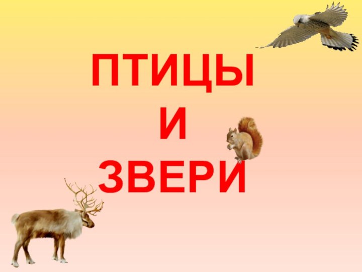 птицы  и  звери