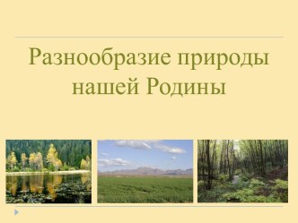 План-конспект урока по окружающему миру в 4 классе: Разнообразие природы нашей Родины. Обобщение знаний о природных зонах России учебно-методический материал по окружающему миру (4 класс)