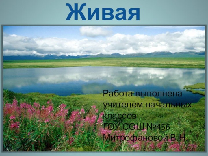 Живая природаРабота выполнена учителем начальных классовГОУ СОШ №456Митрофановой В.Н.