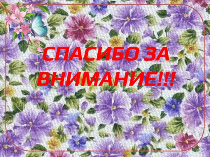 СПАСИБО ЗА ВНИМАНИЕ!!!