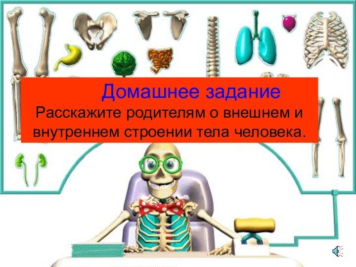 Домашнее заданиеРасскажите родителям о внешнем и внутреннем строении тела человека.