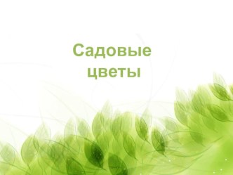 Презентация Садовые цветы презентация к уроку по окружающему миру (старшая группа)