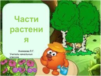 Части растений презентация урока для интерактивной доски по окружающему миру (2 класс) по теме