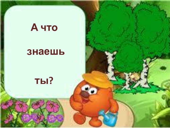 А что    знаешь   ты?